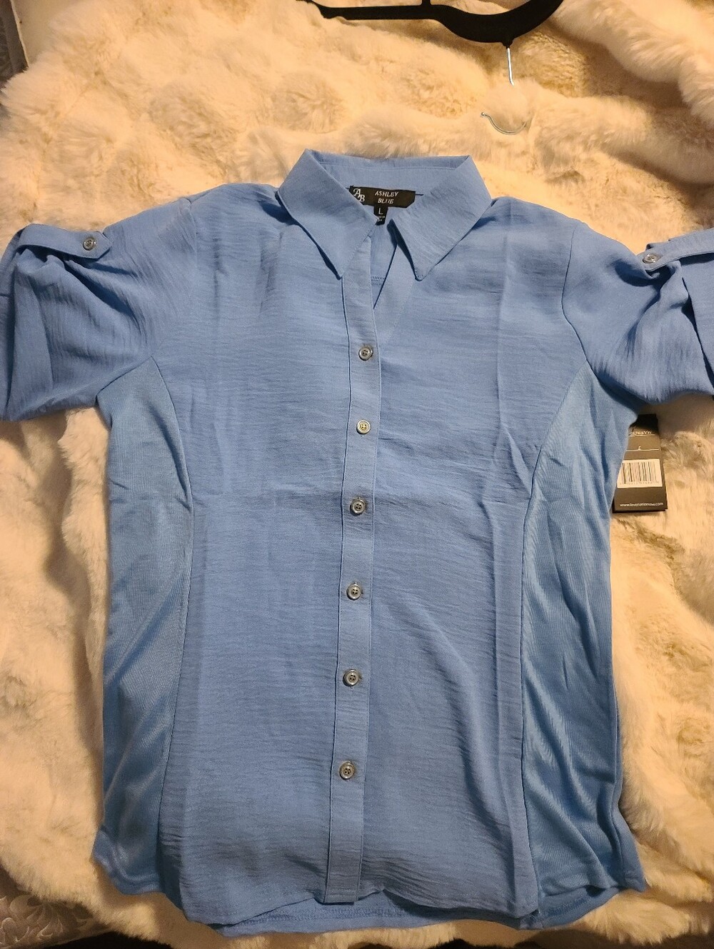 Ashley Blue 26 International Light Blue or Pink Short-Sleeve Button-Down Top